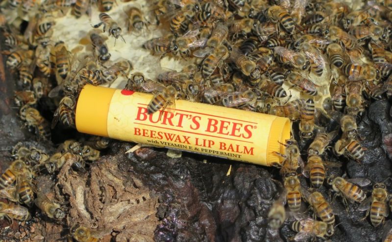SiraPevida-Burts-Bees-Beeswax